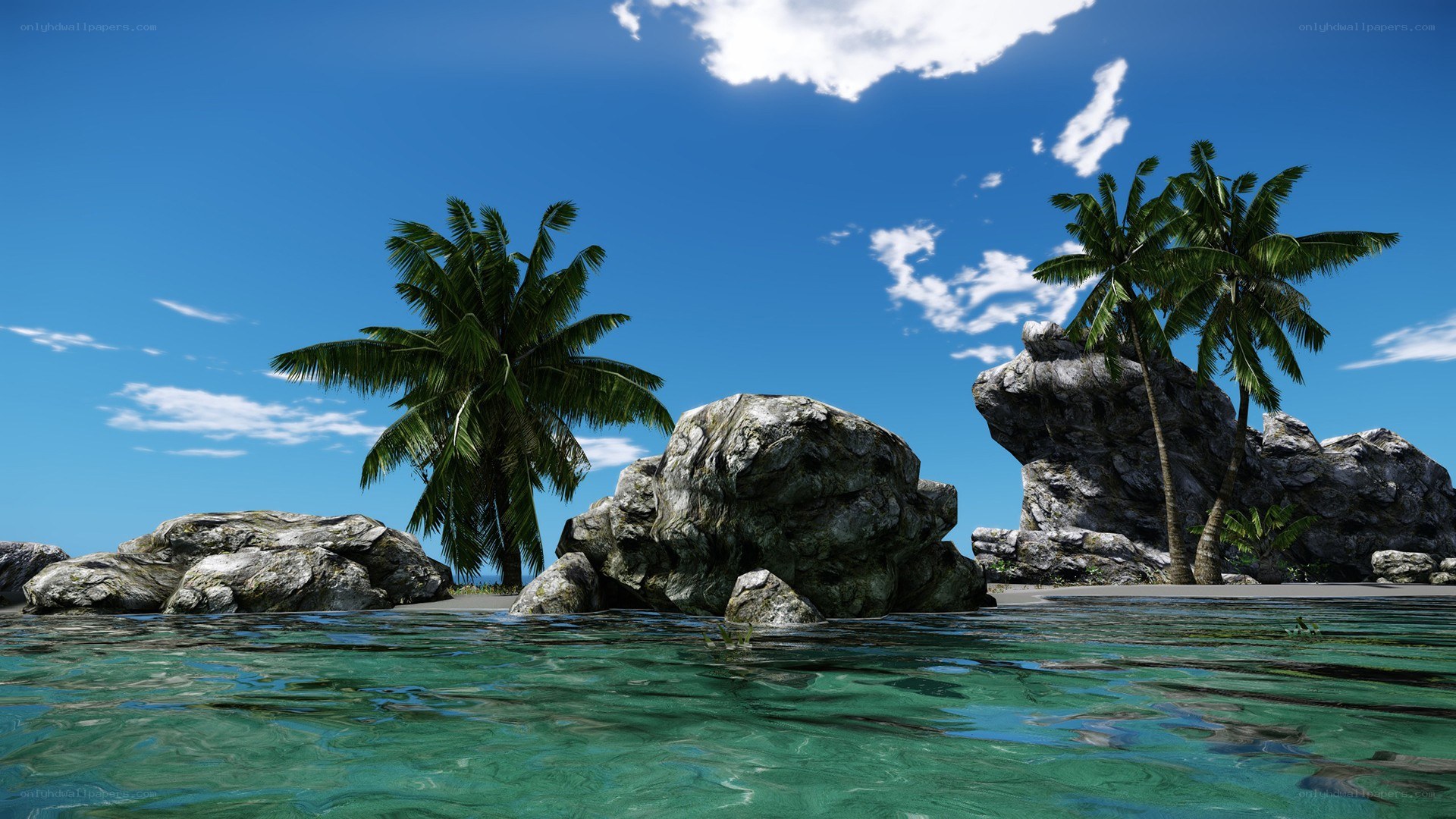tropical island with palm trees