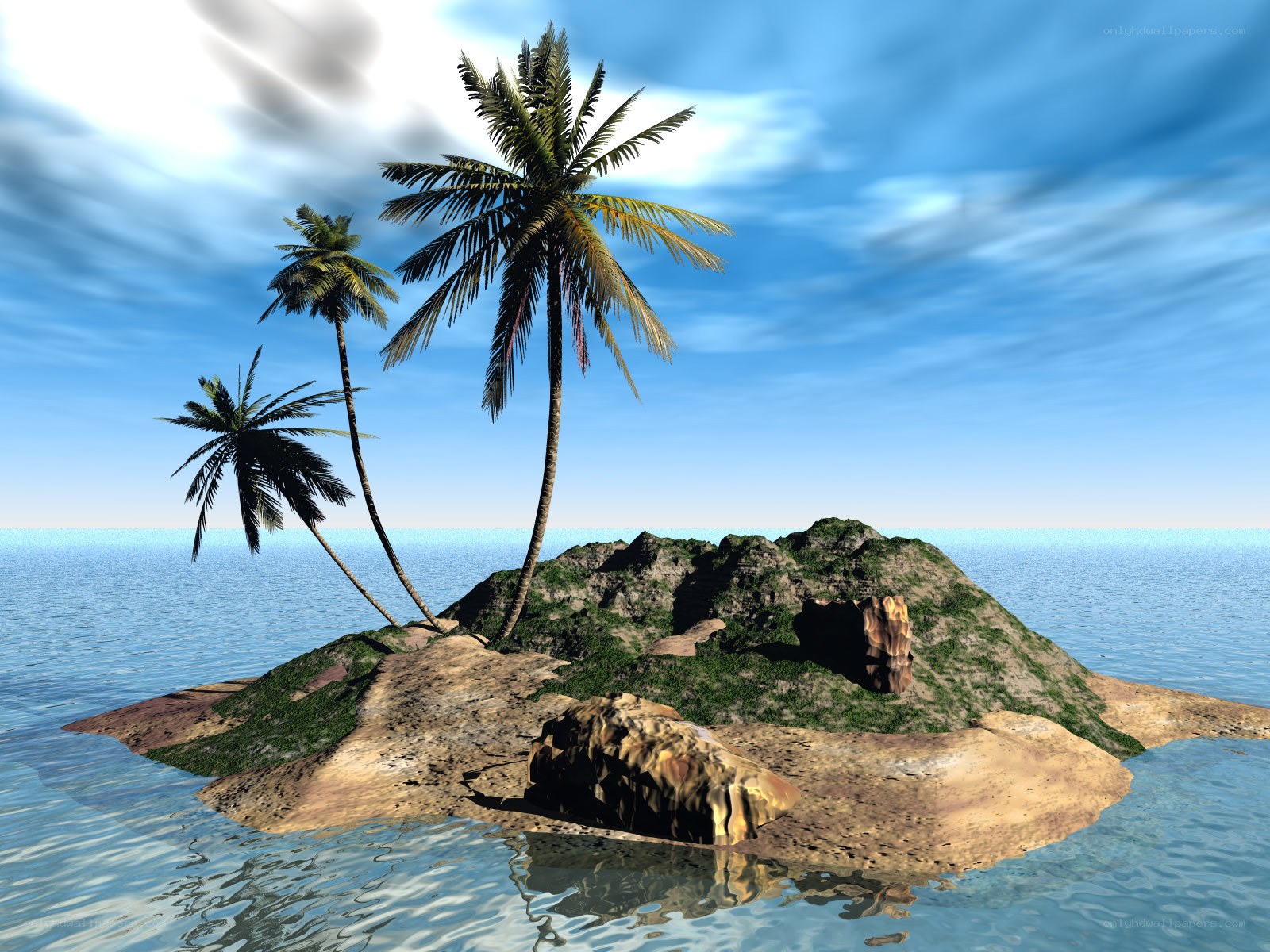 tropical island with palm trees
