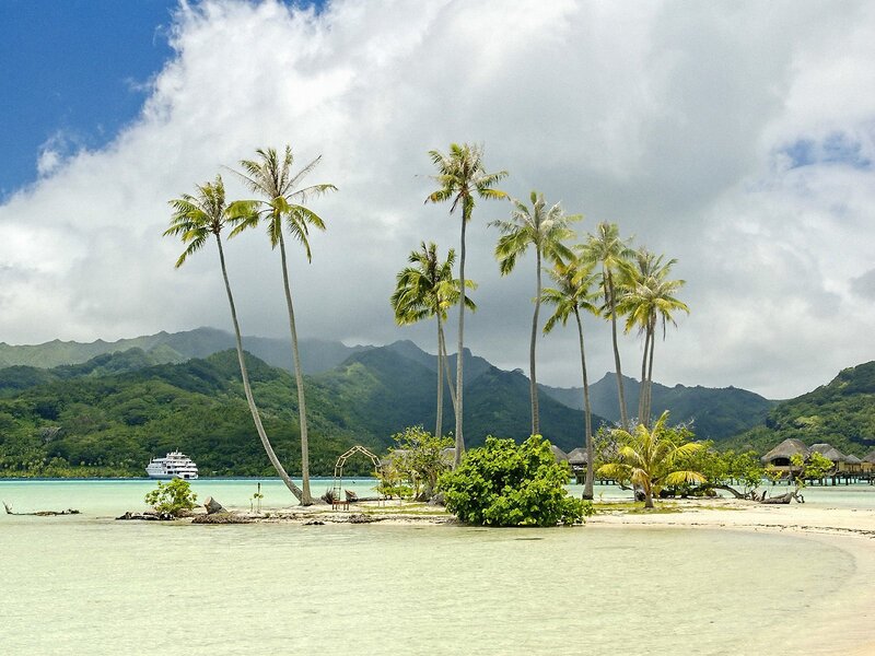 tropical island with palm trees