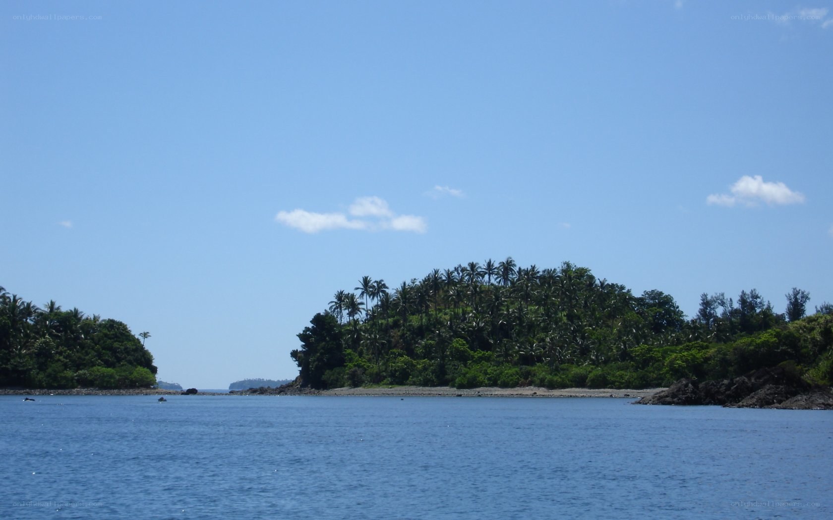 tropical island with palm trees