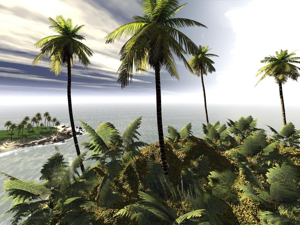 tropical island with palm trees