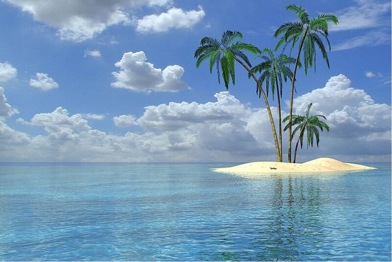 tropical island with palm trees