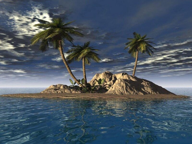 tropical island with palm trees