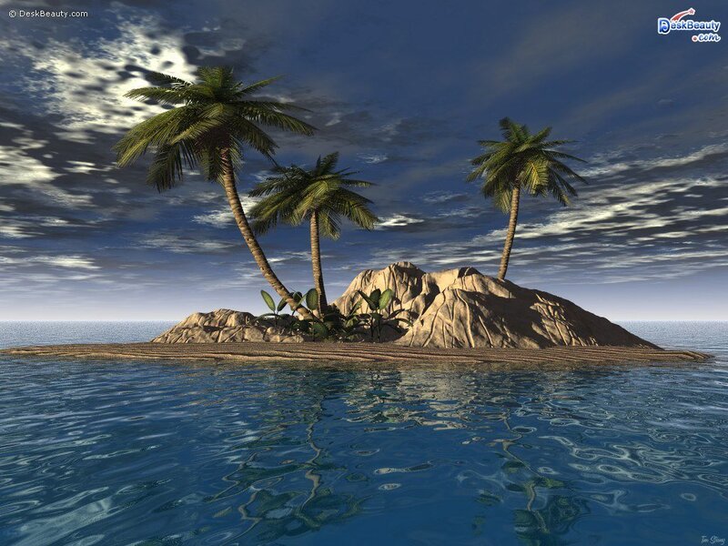tropical island with palm trees
