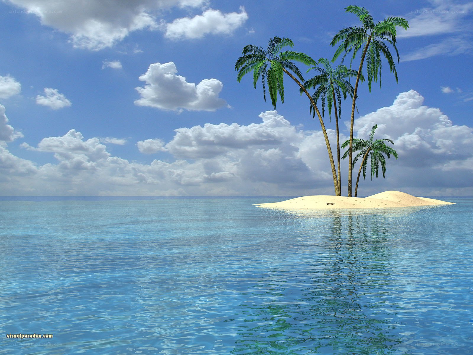 tropical island with palm trees