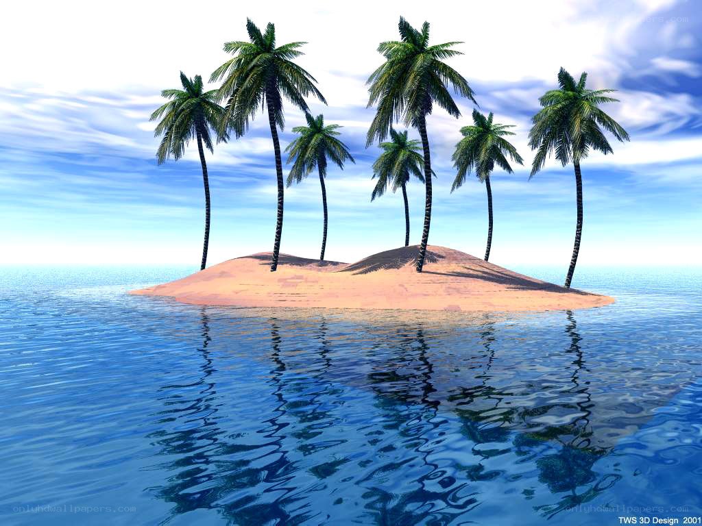 tropical island with palm trees