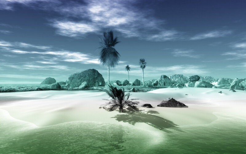 tropical island with palm trees