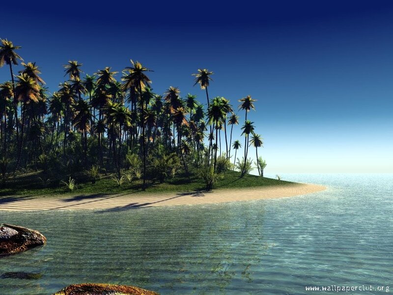 tropical island with palm trees