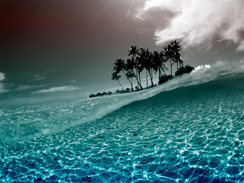 tropical island with palm trees