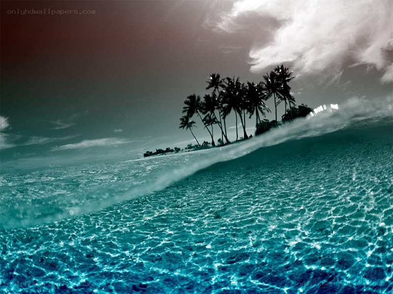 tropical island with palm trees