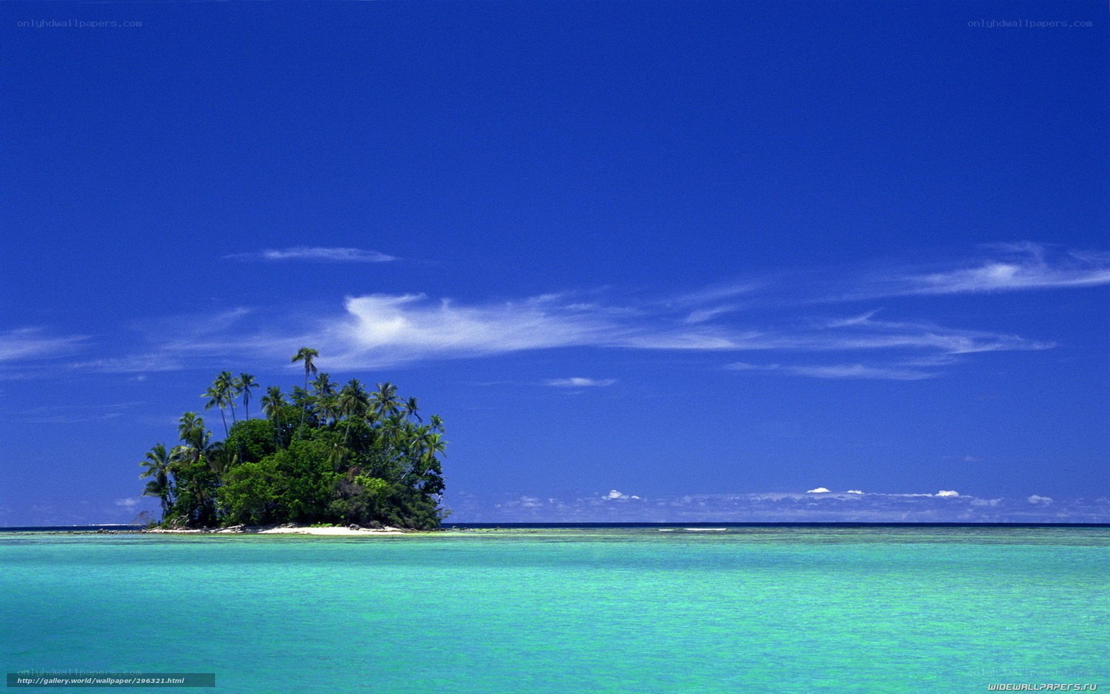 Tropical island with palm trees