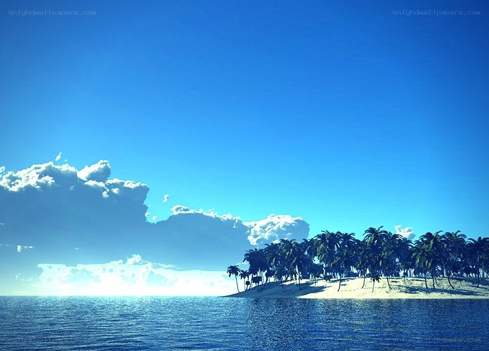tropical island with palm trees