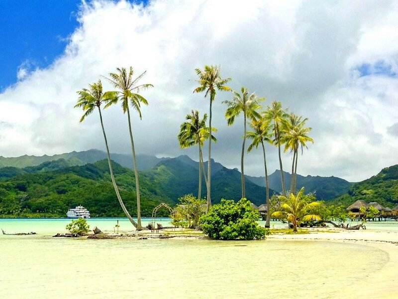 tropical island with palm trees