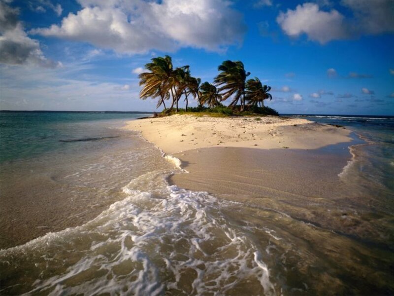 tropical island with palm trees
