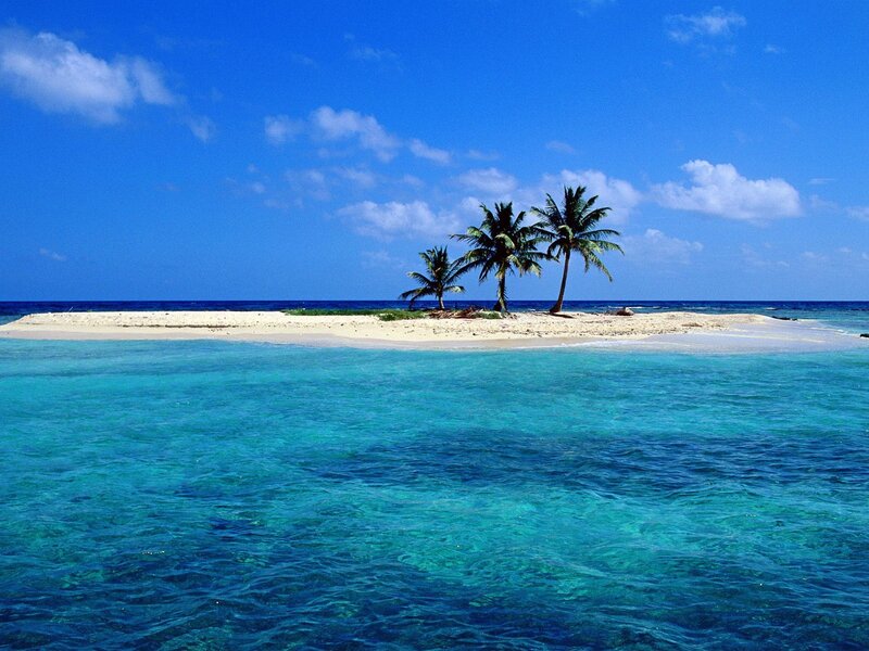 tropical island with palm trees