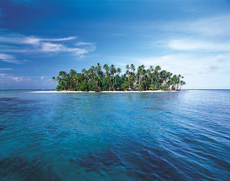 Tropical island with palm trees