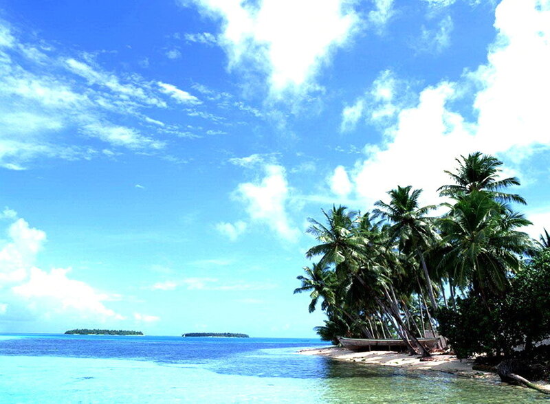 tropical island with palm trees