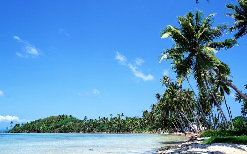 tropical island with palm trees