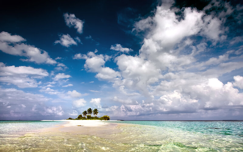 Tropical island with palm trees
