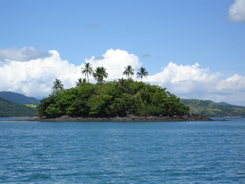 tropical island with palm trees