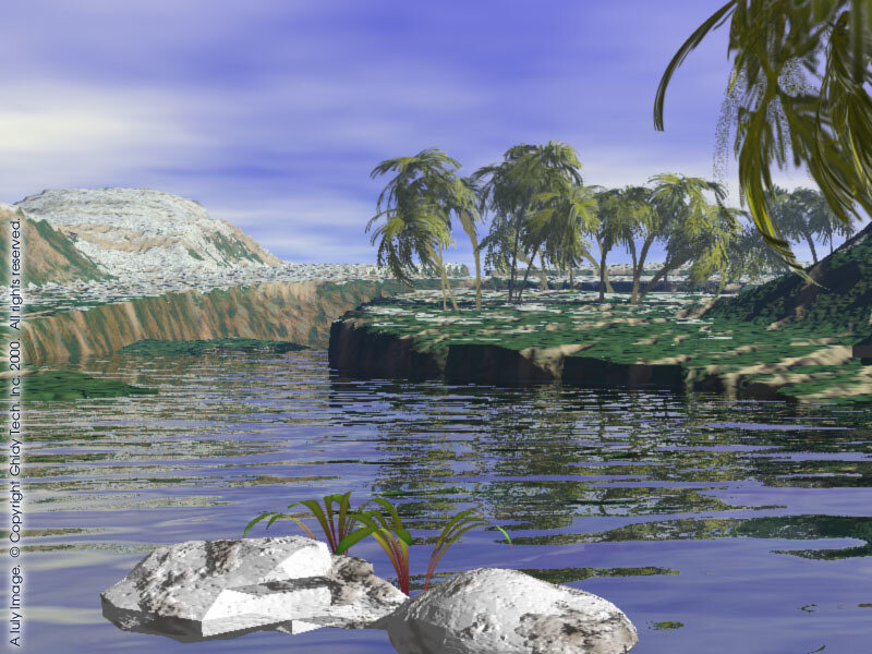 tropical island with palm trees