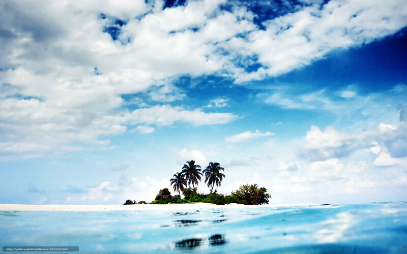tropical island with palm trees