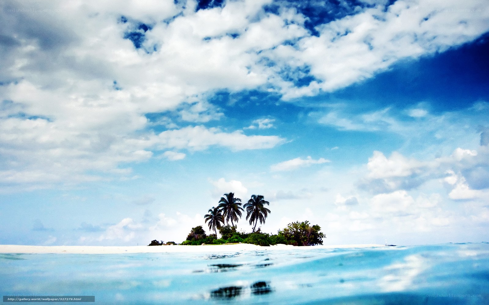 tropical island with palm trees