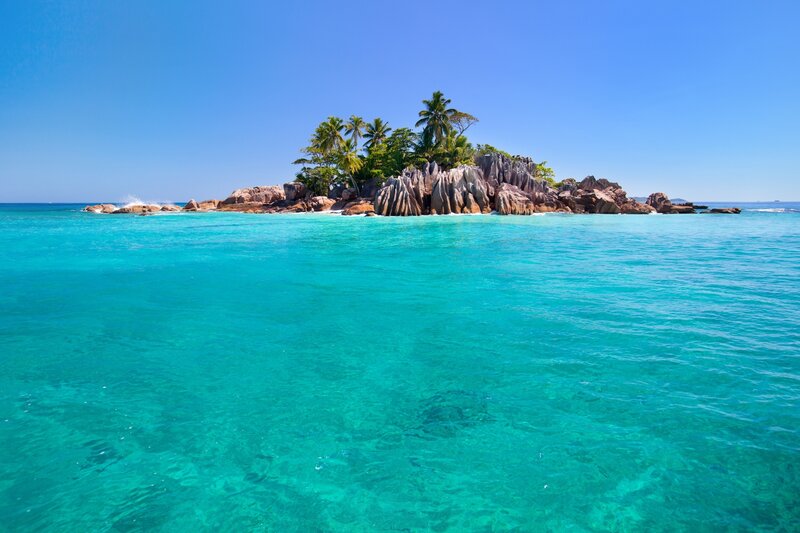 tropical island with palm trees
