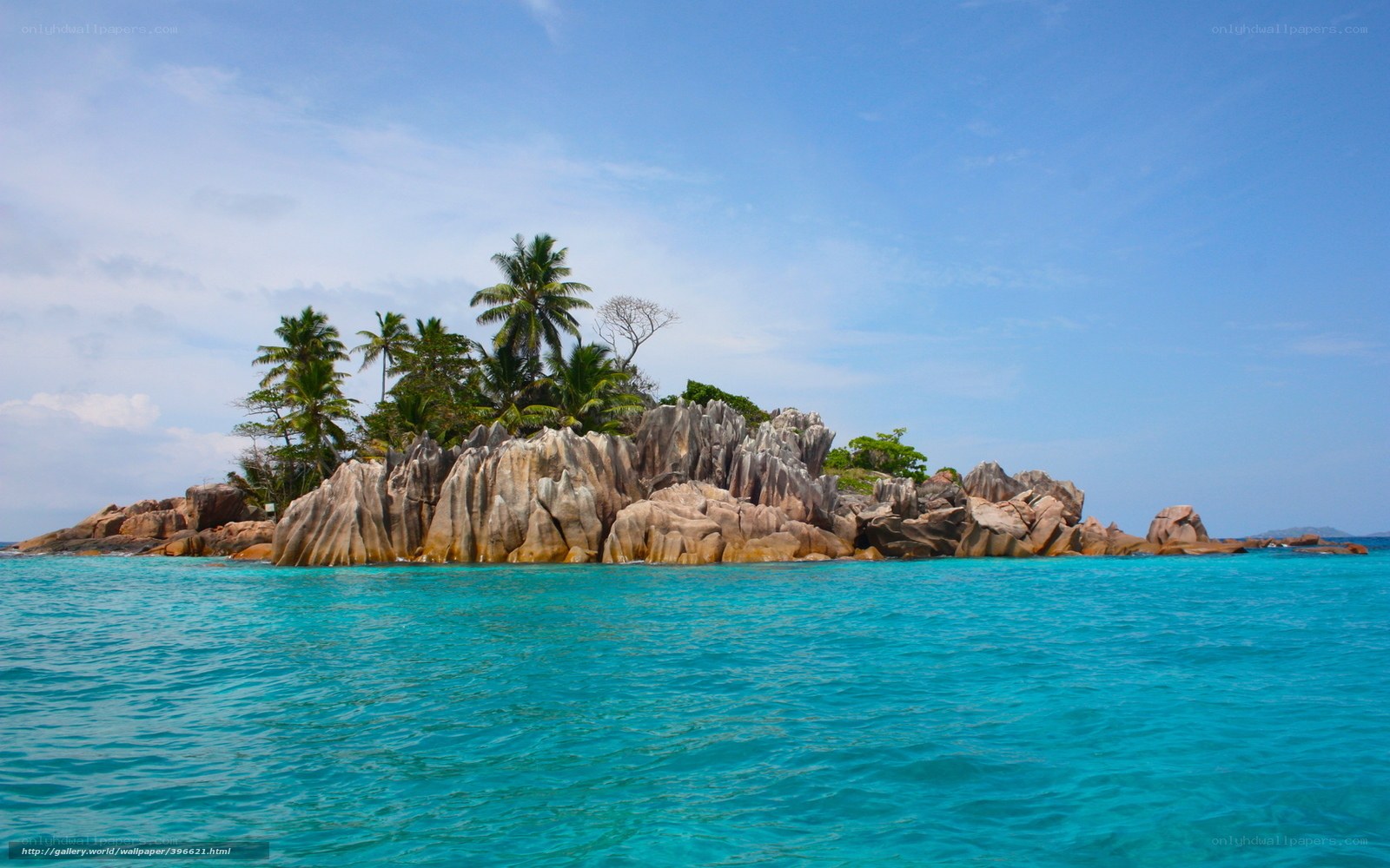 tropical island with palm trees