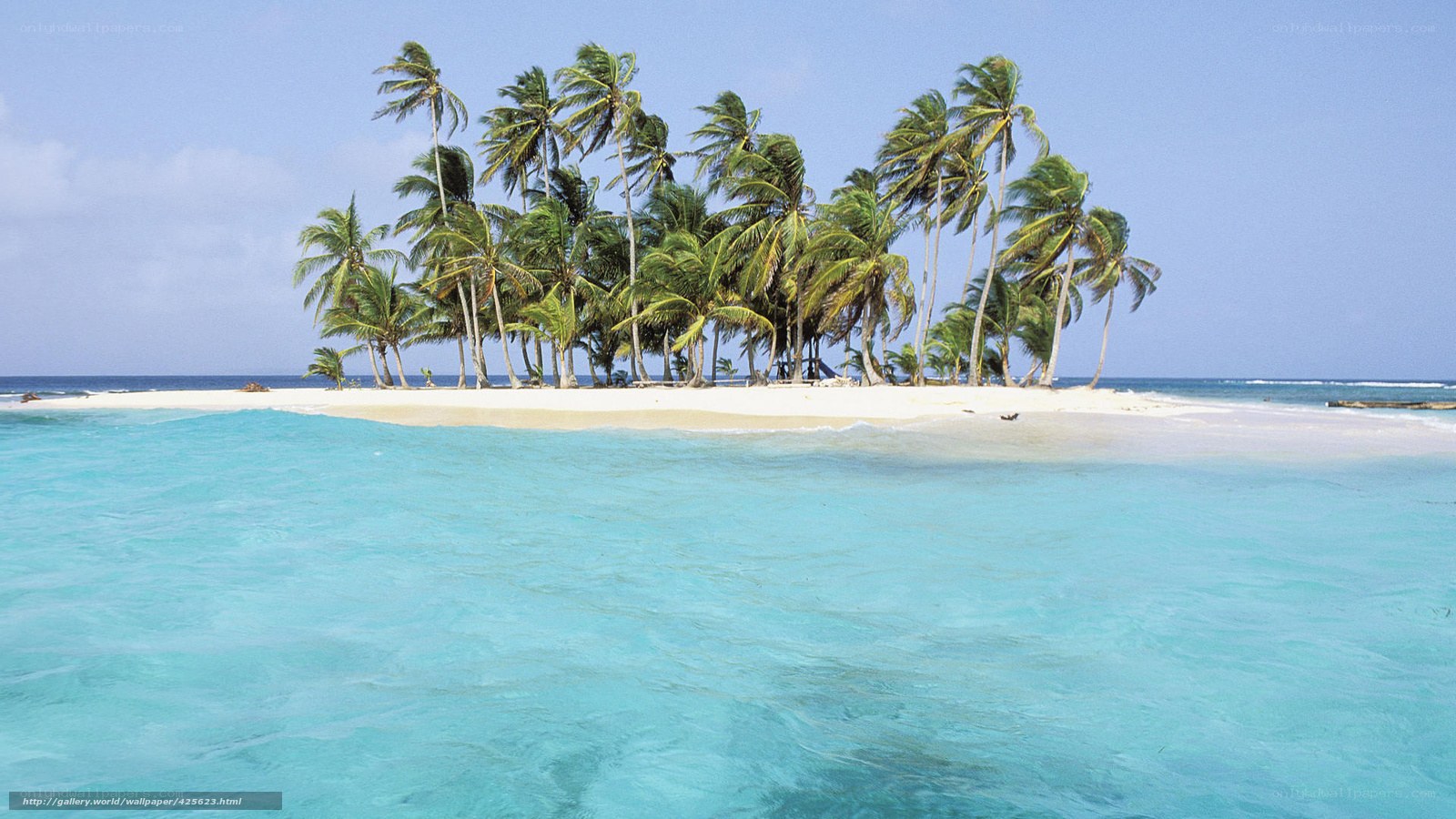 tropical island with palm trees