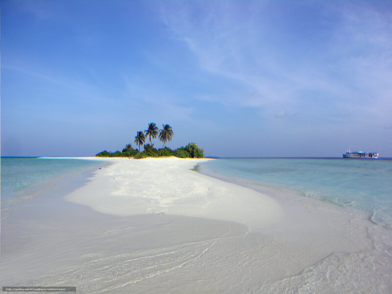 tropical island with palm trees