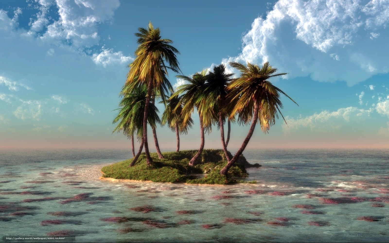 tropical island with palm trees