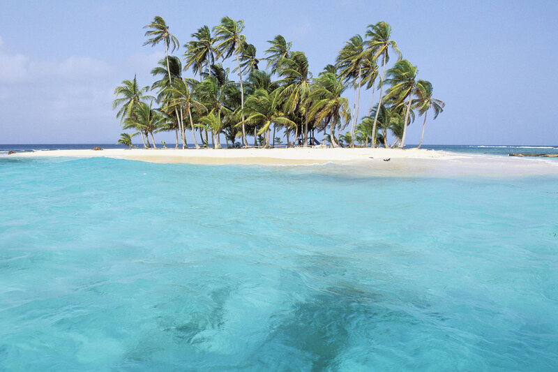 tropical island with palm trees