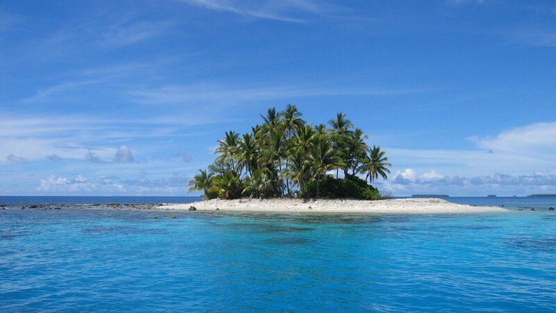tropical island with palm trees