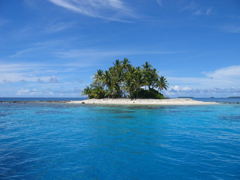Tropical island with palm trees