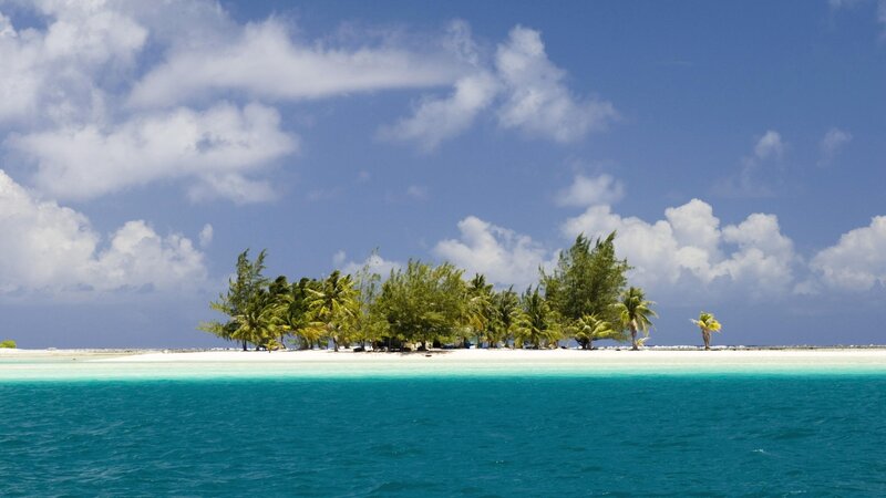 tropical island with palm trees
