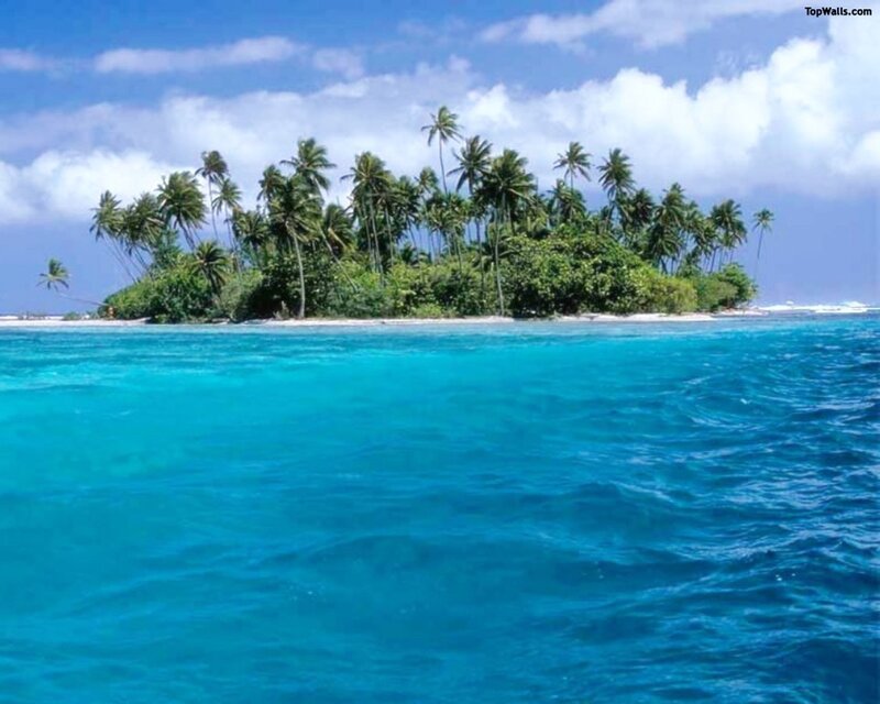 Tropical island with palm trees