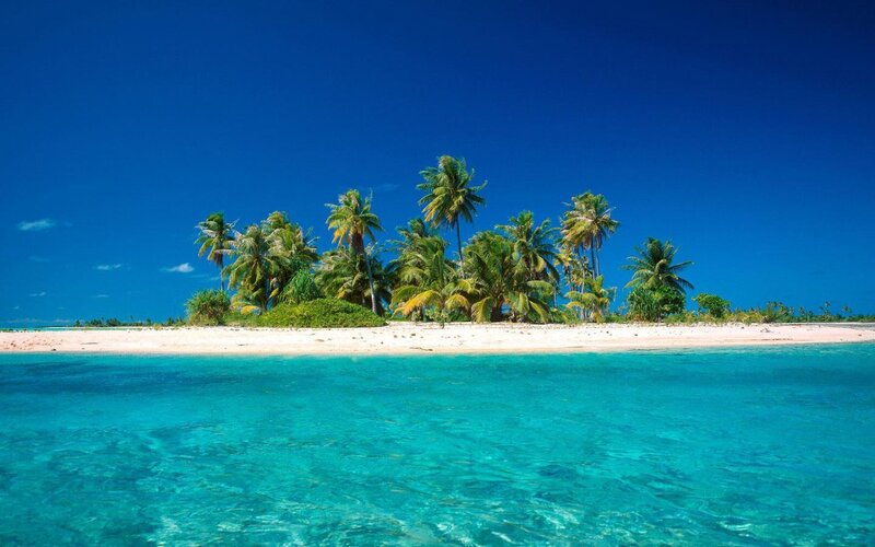 tropical island with palm trees