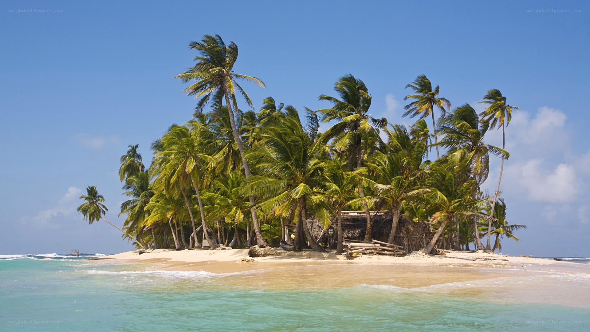 tropical island with palm trees