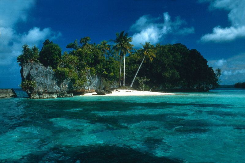 tropical island with palm trees