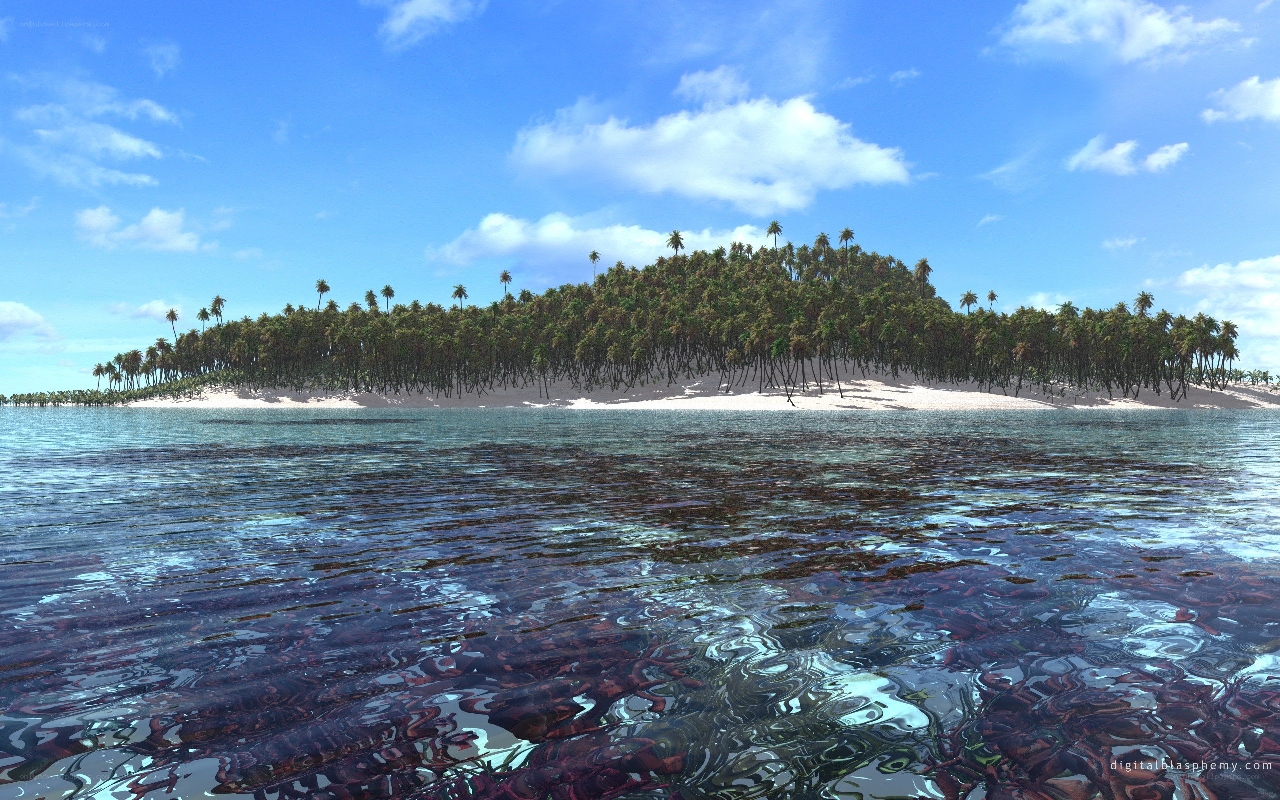 tropical island with palm trees