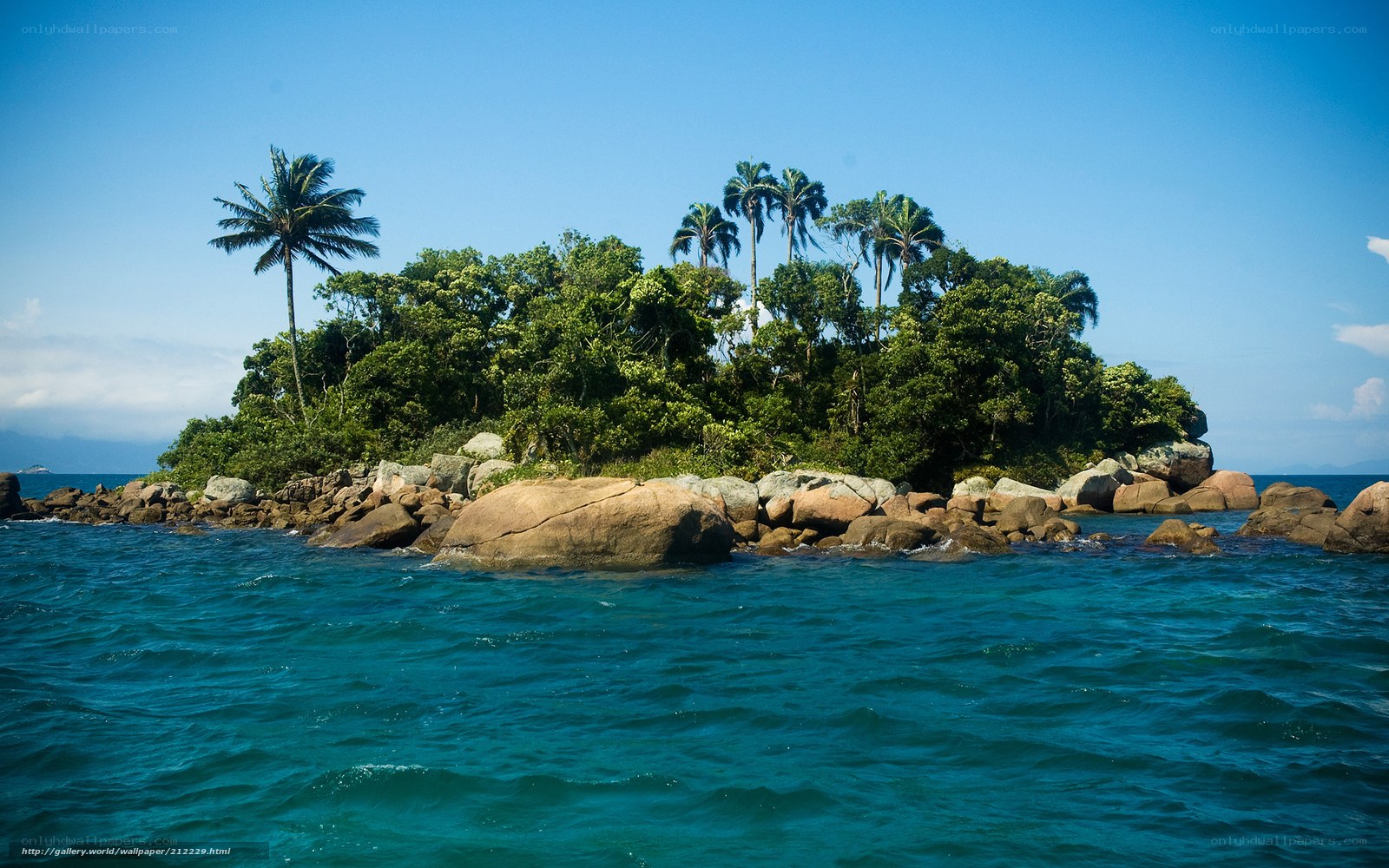 Tropical island with palm trees