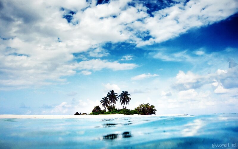 tropical island with palm trees