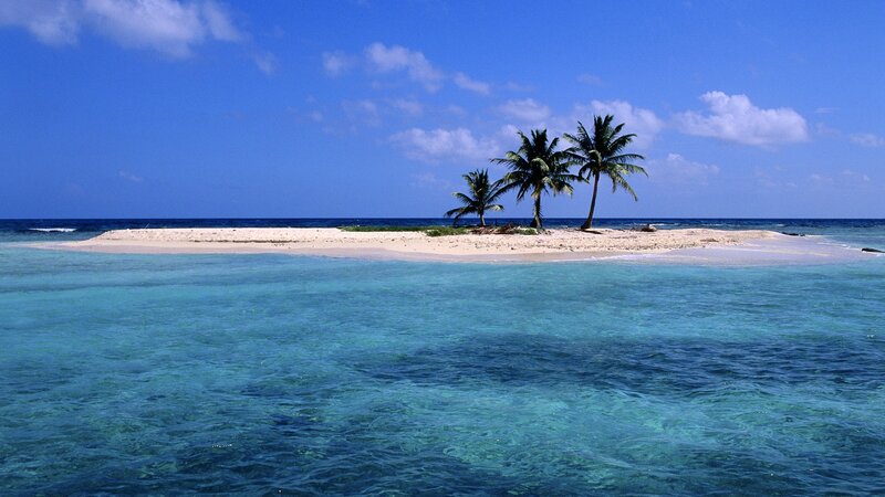 tropical island with palm trees