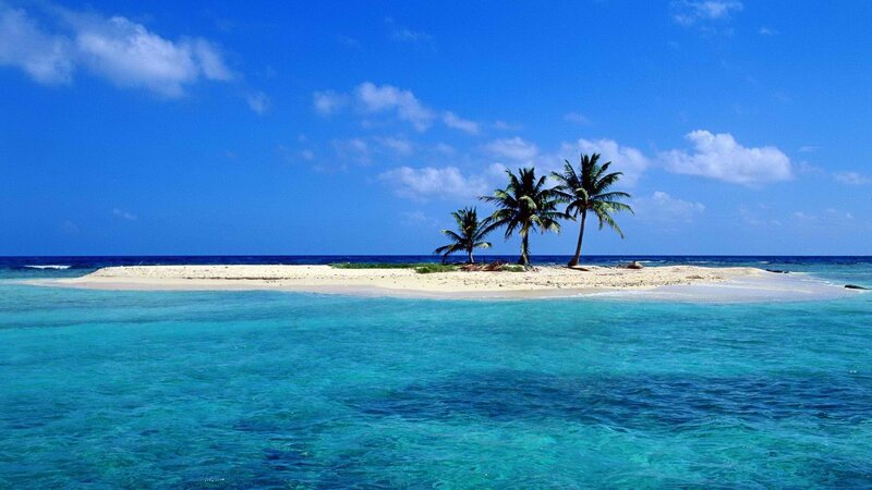 tropical island with palm trees