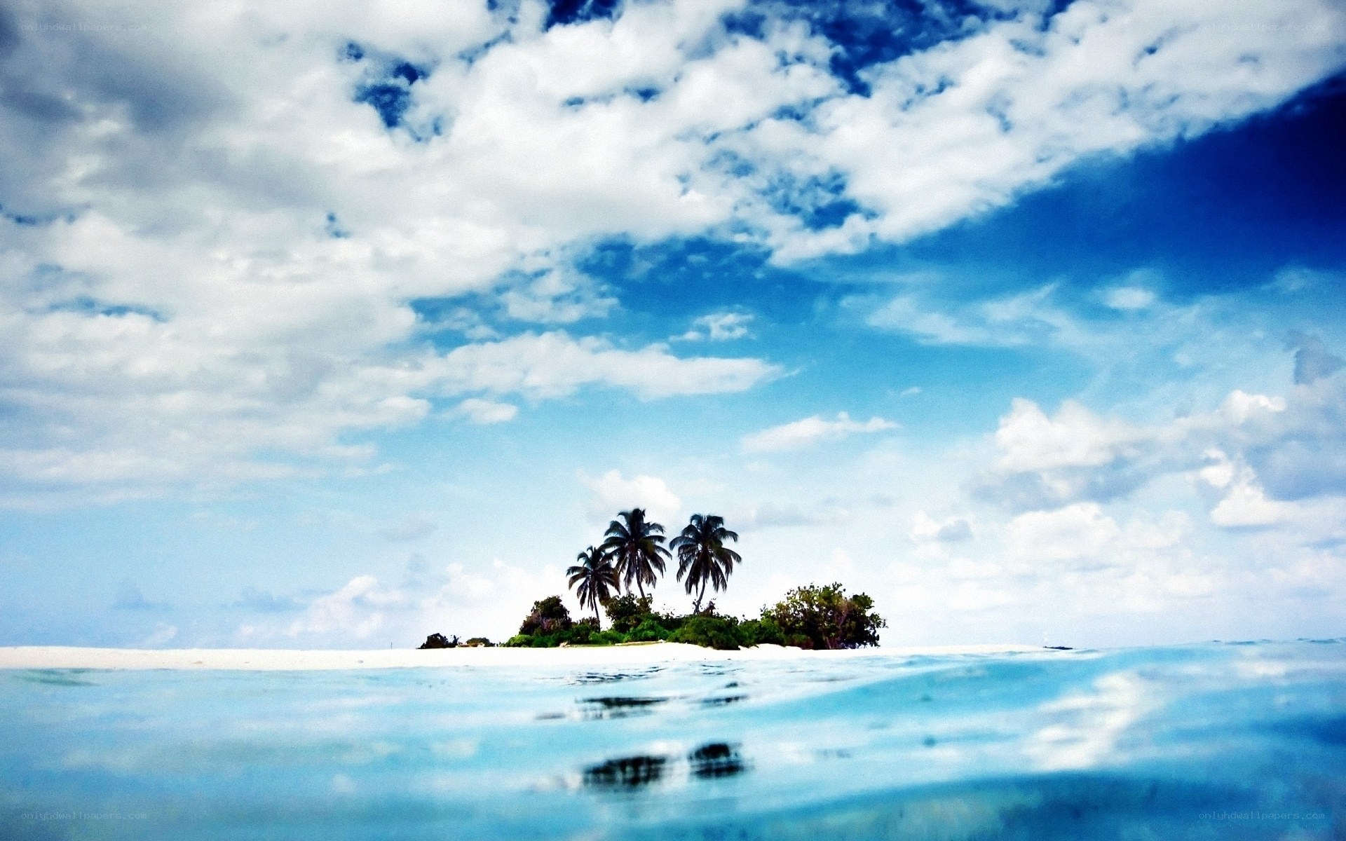 tropical island with palm trees