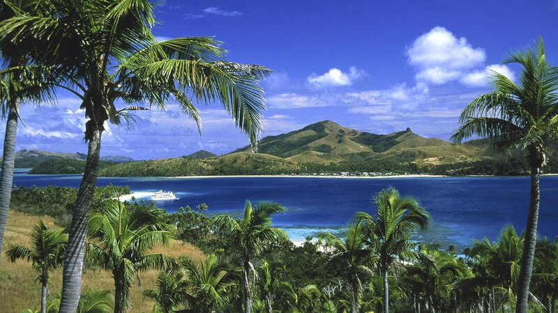 tropical island with palm trees