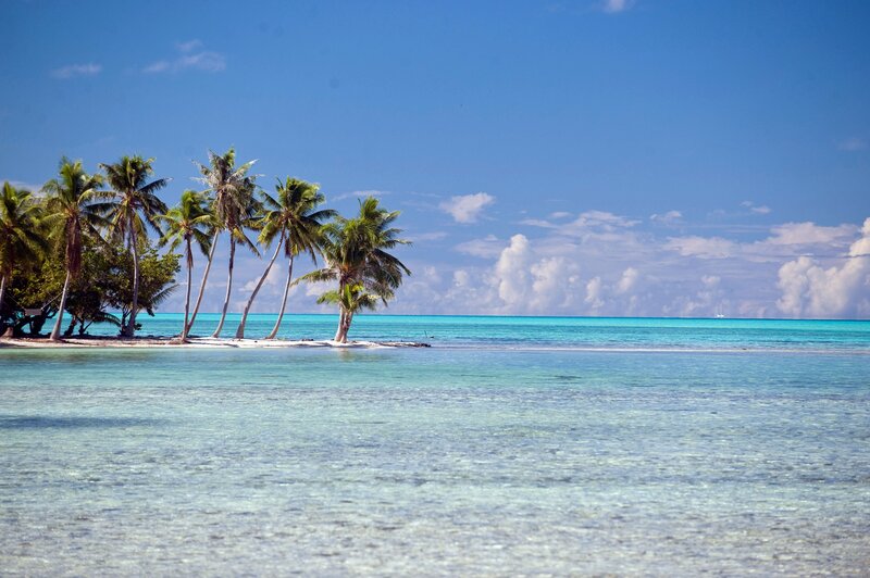 Tropical Island with Palm Trees — Afternoon, White
