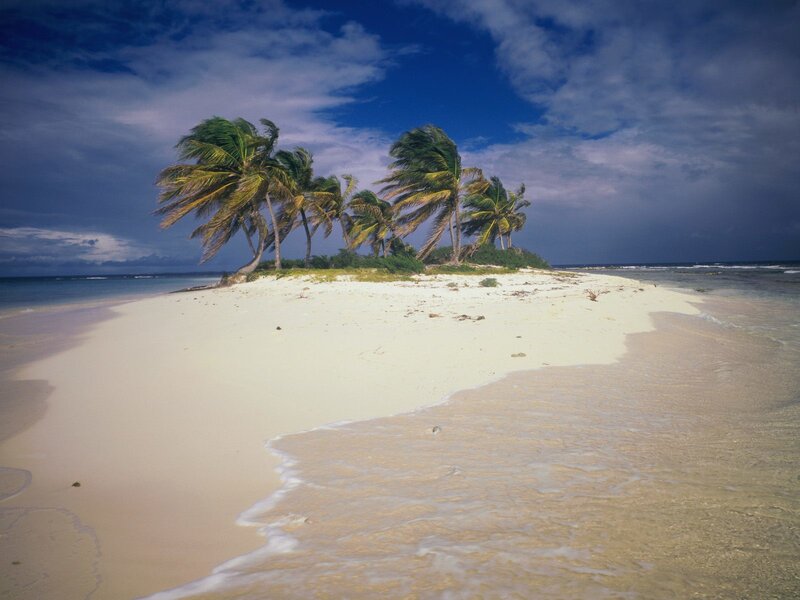 Tropical Island with Palm Trees — Blue, Dramatic, Afternoon, Photograph, Palm Trees, Sand