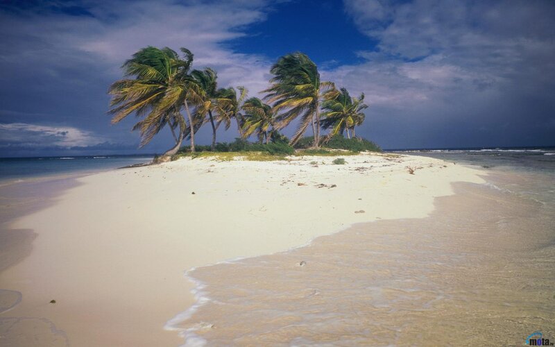 Tropical Island with Palm Trees — Blue, Dramatic